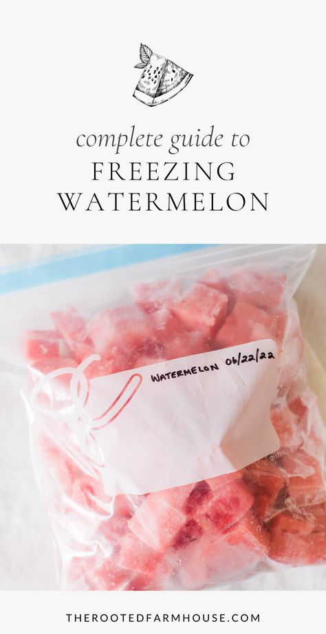 It’s watermelon season, and today I want to discuss how to freeze watermelon. You could be wondering why would you ever want to freeze watermelon, but there are so many uses for frozen watermelon and it beats throwing it in the compost when you can’t eat it fast enough! Freeze Watermelon, Preserve Watermelon, How To Keep Watermelon Fresh Longer, Can You Freeze Watermelon, Freezing Watermelon, Watermelon Frozen Drink, Watermelon Sorbet, Frozen Watermelon, Watermelon Margarita