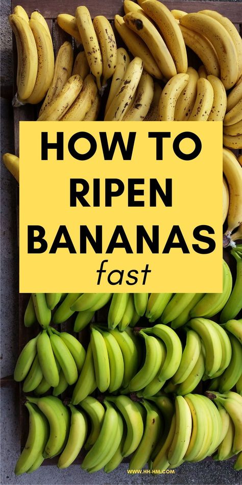 Learn how to ripen bananas faster! You can use the ripe bananas in banana bread, muffins, pancakes, puddings and many other healthy recipes! Banana Picture, Unripe Banana, Sweet Smoothies, Bread Muffins, Banana Bread Muffins, Eating Ice, Make Banana Bread, Green Banana, Ripe Bananas