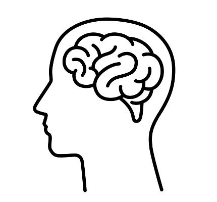 Brain Coming Out Of Head Drawing, Brain Png Icon, Brain Front View, Brain Silhouette, Head Illustration Brain, Brain Icon, Brain Vector, Brain Drawing, Brain Illustration