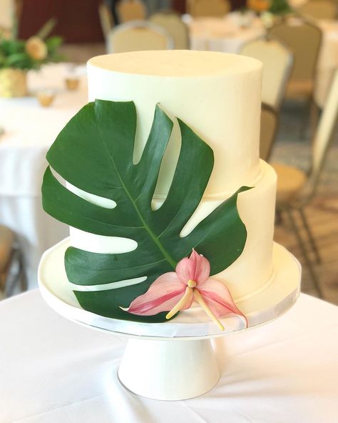 A Cake Life on Instagram: “The simplest designs are always so gorgeous! A single monstera leaf with a touch of pink anthuriums on a clean white buttercream iced cake…” Tropical Wedding Cake, Tropical Wedding Theme, White Buttercream, Wedding Cake Flavors, Tropical Bridal, Tropical Bridal Showers, Fiesta Tropical, Tropical Birthday, Cakepops