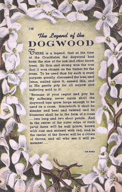 legend of the dogwood tree Legend Of The Dogwood Tree, Christmas Legends, Grave Stone, Dogwood Blooms, Dogwood Tree, Dogwood Trees, Dogwood Flowers, Favorite Flower, Gods Love