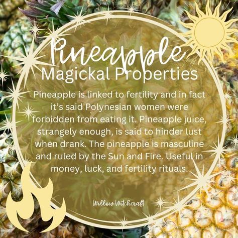 Pineapple Magical Properties, Green Tea Magical Properties, Witchy Ingredients, Summer Blessings, Herb Meanings, Herbal Witch, Food Magic, Kitchen Witch Recipes, Magickal Herbs