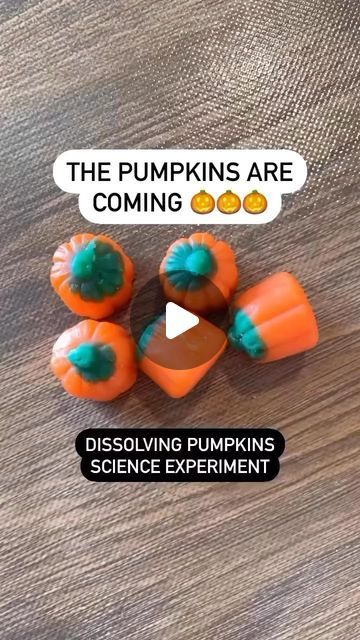 Diana | Kindergarten Classroom Management on Instagram: "It’s officially pumpkin season 🎃🧡⤵️⠀

Looking for a quick and engaging science experiment to do this season?!

⠀⠀
This dissolving pumpkins experiment is easy set up and kids love it! 🧪
⠀⠀
⠀⠀
Digital Slides also included! 🖥🎃

Type “pumpkin” and I can send you the link to check it out. ⠀⠀
⠀⠀
#october #preschoolactivities #preschoolteachers #kindergartenteacher #kindergartenteacher #scienceexperimentsforkids #firstgradeteacher 

Kindergarten Teacher, Science Experiments, October" Exploding Pumpkin Experiment, Fall Science Experiments For Kids, Fall Science Experiments, Pumpkin Science Experiment, Pumpkin Science, Teacher Science, Fall Science, Kindergarten Classroom Management, Pumpkin Season