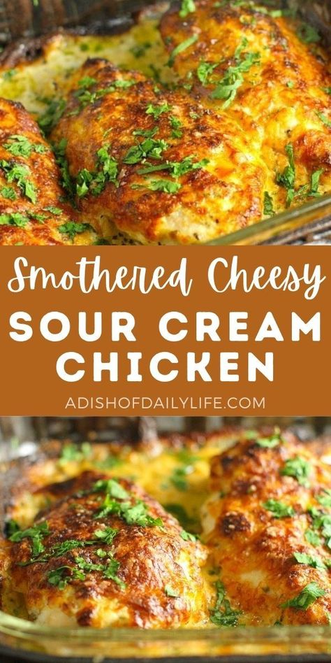 Smothered Cheesy Sour Cream chicken...an easy weeknight dinner the whole family will love (even the pickiest of eaters)! Italian Soffrito, Cheesy Sour Cream Chicken, Healthy Sour Cream, Cream Chicken, Sour Cream Chicken, Chicken Breast Recipes Baked, Smothered Chicken, Sour Cream Recipes, Easy Weeknight Dinner