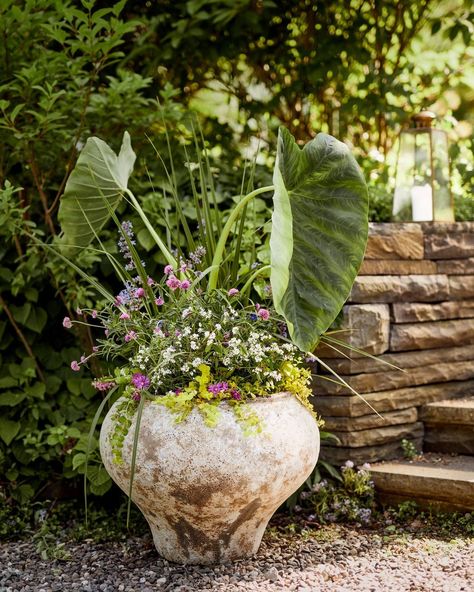 Terrain (@shopterrain) • Instagram photos and videos Barnacle Vase, Pumpkin Planter, Modern Pot, Antiquing Glaze, Church Flowers, Bathroom Plants, Design 2023, Bedroom Plants, Terracotta Planter