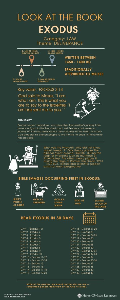 Look at the Book: Exodus [Infographic] | Bible Gateway News & Knowledge Book Of Exodus Bible Study, Bible Study Exodus, Bible Infographics, The Book Of Exodus, Exodus Bible, Bible Summary, Bible Genealogy, Bible Overview, Bible Learning