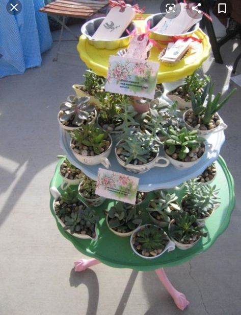 Teacup Plants, Display Craft Show, Selling Plants, Fundraising Crafts, Dirt Cup, Farmers Market Display, Fete Ideas, La Summer, Craft Market Display