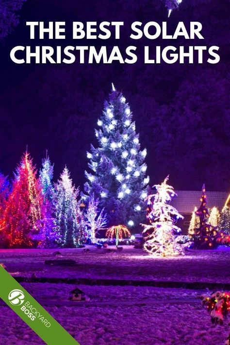 Christmas Lights Outdoor Ideas, Solar Powered Christmas Lights, Hanging Tree Lights, Solar Christmas Decorations, Battery Christmas Lights, Backyard Boss, Solar Christmas Tree, Best Solar Lights, Christmas Lights Outdoor