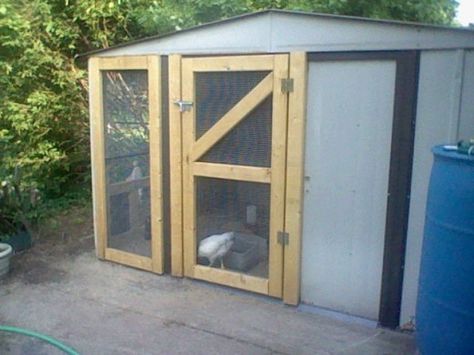 building a coop Shed Storage Ideas, Cheap Chicken Coops, Urban Chicken Farming, Chicken Shed, Portable Chicken Coop, Urban Chickens, Best Chicken Coop, Chicken Coop Designs, Building A Chicken Coop