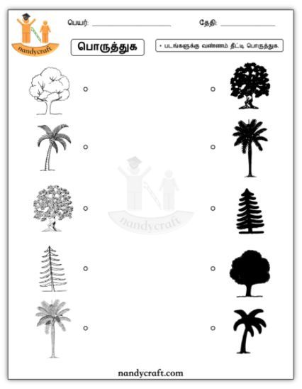 Tree shadow matching worksheet for kids in Tamil. Tamil Worksheets For Kids, Tamil Worksheets For Kindergarten, Tamil Worksheet, Worksheets For Playgroup, Tamil Learning, Trees For Kids, Shadow Matching, Fun Worksheets For Kids, Matching Worksheets