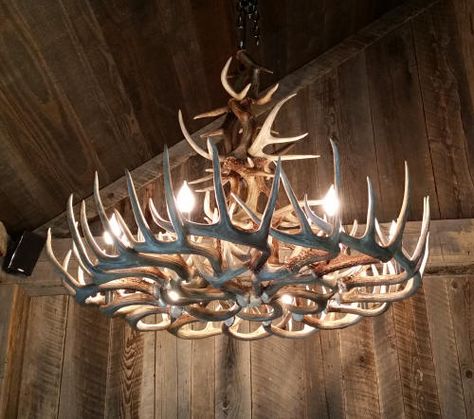 Handcrafted Deer antler chandeliers and lighting Deer Chandelier, Deer Antler Ideas, Diy Antler, Antler Lighting, Deer Antler Chandelier, Antler Ideas, Deer Antler Decor, Antler Decor, Antler Lights