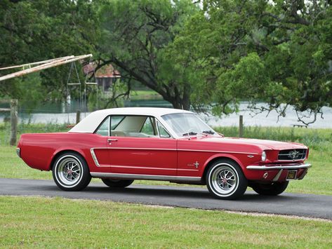 1964 Ford Mustang 260 Ready for a road trip in the states 1964 Mustang, 1964 Ford Mustang, Ford Mustang Wallpaper, Mustang 1964, Ford Mustang 1964, Mustang Wallpaper, Mustang Car, 1965 Mustang, Ford Mustang Coupe