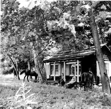 Hell For Certain, Kentucky - Kentucky for Kentucky Harlan Kentucky, Vintage Nursing, Appalachian History, Hatfields And Mccoys, Mountain People, Nursing History, Cumberland Falls, Eastern Kentucky, Pike County