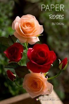 Tissue paper rose tutorial, with free template #paperrose #rosetutorial #rosemaking #paperflower #flowermaking #flowertemplate Paper Rose Tutorial, Tissue Paper Roses, Paper Roses Diy, Paper Rose Template, 3d Templates, Crepe Paper Roses, Tissue Paper Flowers Diy, Tissue Paper Crafts, Rose Crafts