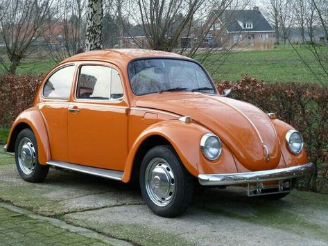 Volkswagen Convertible, Volkswagen Beetle Vintage, Vw Super Beetle, Classic Volkswagen, Beetle Car, Vw Beetle Classic, Beetle Convertible, Volkswagen Car, Engraved Crystal