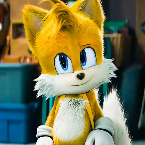 Tails Sonic The Hedgehog, Miles Prower, Funny Sonic, Tails Sonic, Shadow And Rouge, Sonic Icon, Sonic Sonic, Sonic Movie, Sonic 2