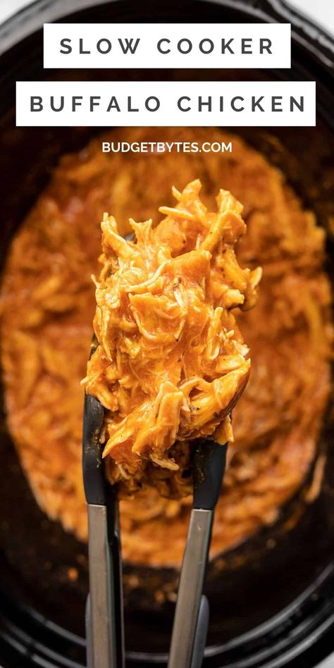 Buffalo Chicken Recipe, Slow Cooker Buffalo Chicken, Homemade Ranch Seasoning, Crockpot Ideas, Slow Cooked Chicken, Budget Bytes, Creamy Coleslaw, Egg Free Recipes, Homemade Ranch