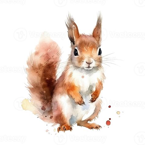 Watercolour Woodland Animals, Aquarell Painting Ideas, Colored Pencil Animals, Aquarelle Art Ideas, Watercolor Animals Easy, Watercolor Art Animals, Woodland Animals Illustration, Aquarelle Ideas, Watercolor Squirrel