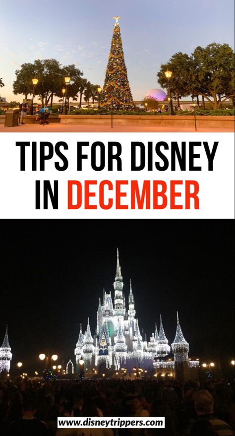 Disney Christmas Packing List, Disney In The Winter, Disneyland December Outfits, Cute Outfits For Disney World Winter, Disney Outfits Women In December, Disney Outfits For December, Disneyland Outfits December, Disney World Outfits December, What To Wear To Disney In December