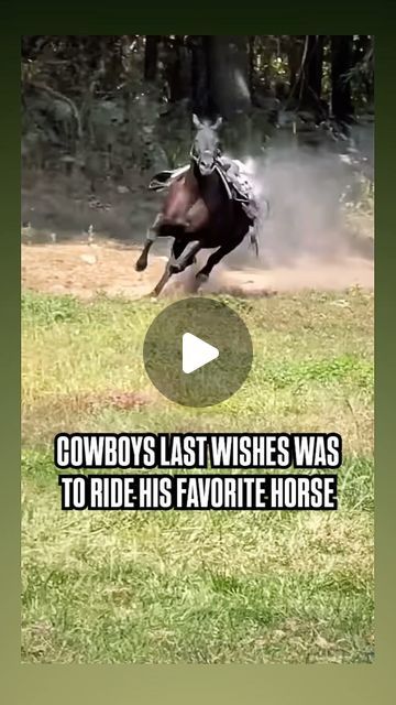 Byron Bendfeldt BossMan | Last wishes Follow on YouTube @KingClancytheBelgian 
#cowboy #cowboys #lastwishes #fyp #horses #horselovers #rip | Instagram Miniature Ponies, Horse Videos, The Cowboy, Planning Checklist, 1k Views, Cute Animal Pictures, Service Dogs, The Horse, Beautiful Horses