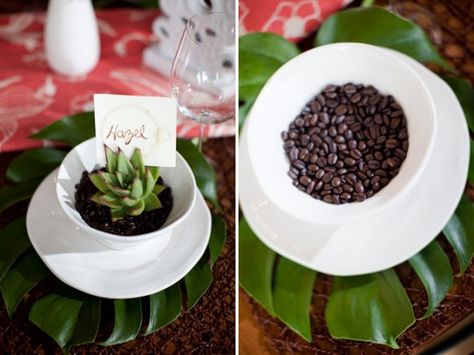 Wedding Secrets, Succulent Wedding Centerpieces, Coffee Theme Kitchen, Kitchen Table Centerpiece, Succulent Wedding Favors, Creative Wedding Favors, Coffee Center, Coffee Wedding, Succulent Centerpieces