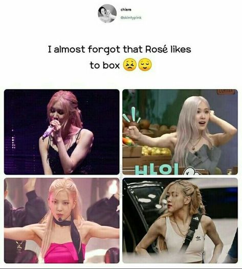 Journal Ideas Without Pictures, Blackpink Journal Ideas, Blackpink Journal, Pretty Brown Eyes, Rosie Posie, Blink Book, Blackpink Poster, Blackpink Memes, Rose Pictures