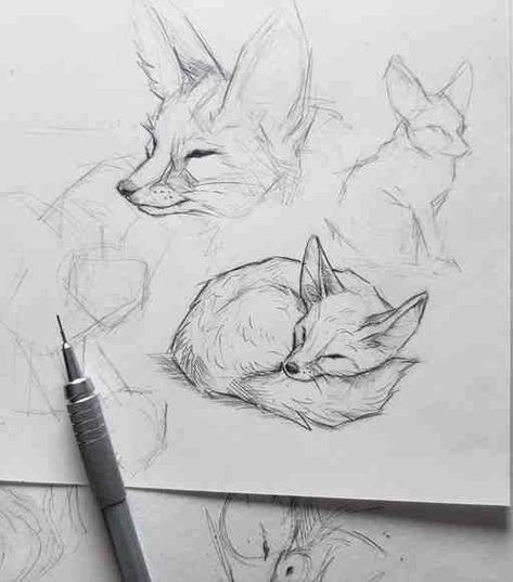 Animal Drawings Sketches, 강아지 그림, Arte Sketchbook, Fox Art, Dessin Adorable, Animal Sketches, A Pen, Arte Animal, Book Art Drawings