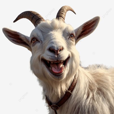 funny goat face Goat Images, Goat Pet, Goat Face, Goat Funny, Free Funny Videos, Funny Goat, Pet Funny, Funny Png, Goats Funny