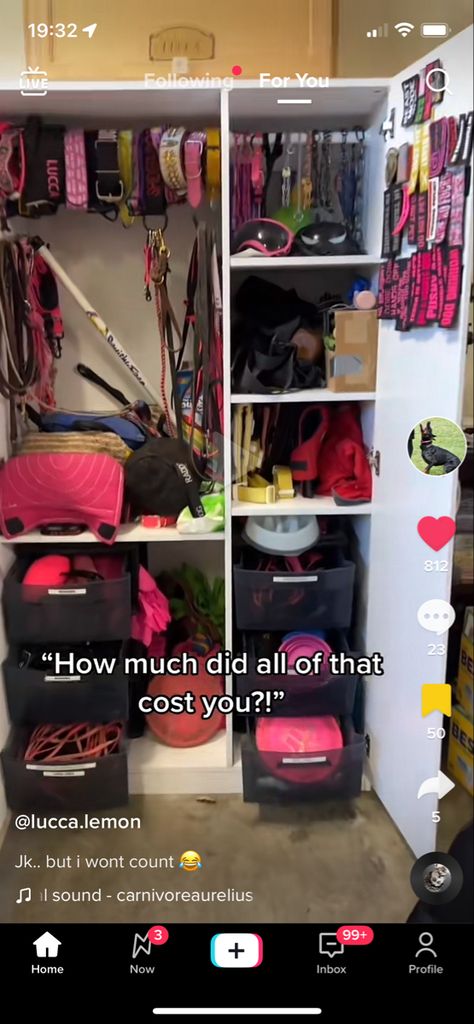 Garage Dog Training Room, Dog Harness Organization, Service Dog Gear Organization, Service Dog Gear Wall, Dog Gear Wall, Dog Closet Ideas, Dog Gear Organization, Dog Gear Storage, Dog Organization Station