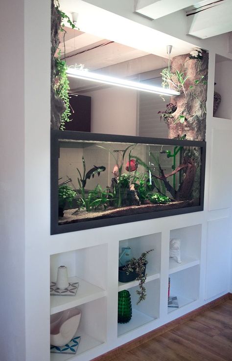 Aquriam Ideas Home, Idee Deco Aquarium, Aquarium In Wall, Aquriam Ideas, In Wall Aquarium, Home Aquarium Ideas, Modern Fish Tank, Aquarium Home Decor, Fish Tank Wall