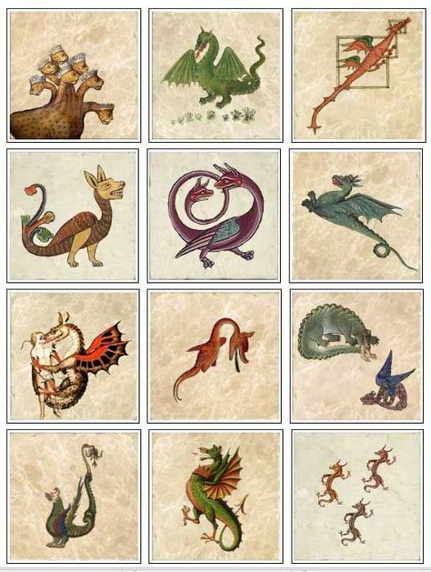 Medieval dragons on marble tiles, part 1 Medieval Bestiary Illustrations, Scriptorium Medieval, Medieval Dragon Illustration, Medieval Dragons, Medieval Creatures, Dresses Medieval, Dragon Medieval, Medieval Bestiary, Medieval Pattern