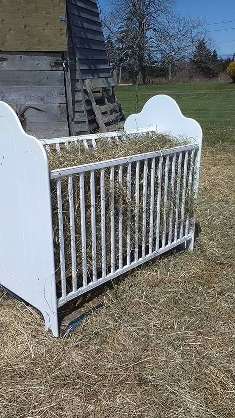 DIY Goat Feeder from old crib Diy Goat Feeder, Goat Waterer Ideas, Diy Goat Toys, Goat Feeders, Diy Hay Feeder, Goat Hay Feeder, Goat Ideas, Goat Fence, Goat Feeder