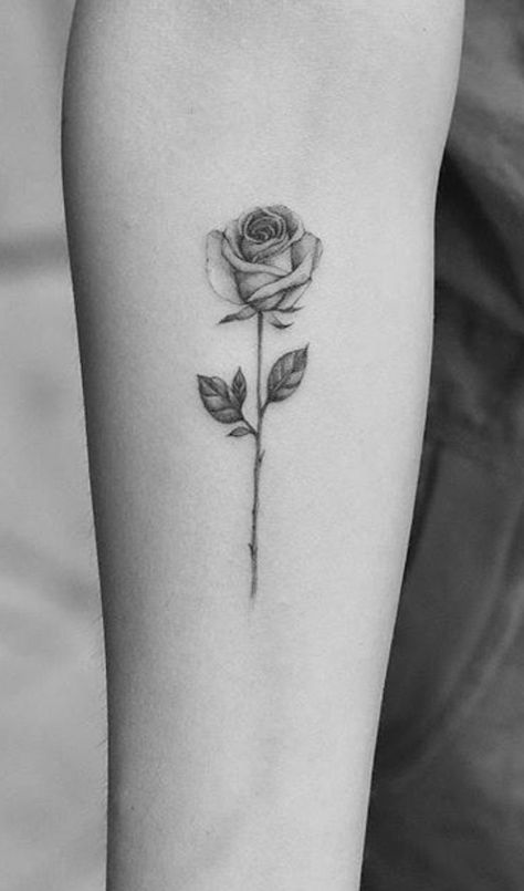 Black Rose Forearm Tattoo, Tattoo Ideas Small Simple, Rose Forearm Tattoo, Tattoo Jungkook, Rose Stem Tattoo, Jungkook Tattoo, Forearm Tattoo Ideas, Single Rose Tattoos, Rose Tattoo Forearm