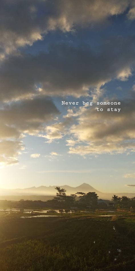 We All Need Someone To Stay, Never Beg Someone To Stay, Quotes About Forgetting Someone, Beg Someone To Stay, Stay Quotes, Never Beg, Don't Beg, Need Someone, Self Love Quotes