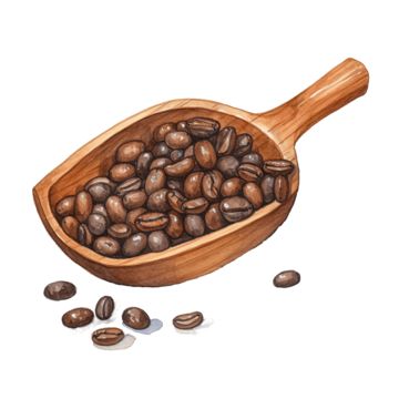 coffee,beans,seed,watercolor,painting,hand-drawn,decorative,art,draw,healthy,ingredients,caffeine,drink,cafe,grain,roasted,wooden,scoop,leaf,black,organic,heart,background,hot,cup,color,food,milk,top,natural Drink Cafe, Caffeine Drinks, Transparent Watercolor, Wooden Scoop, Watercolor Food, Bean Seeds, Roasted Coffee Beans, Heart Background, Roasted Coffee