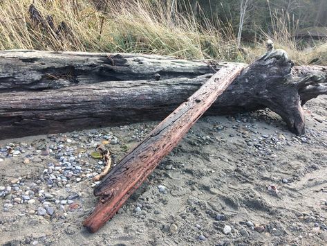 Cheap Floating Shelves, Driftwood Shelves, Diy Live Edge, Pipe Shelf Brackets, Driftwood Shelf, Driftwood Diy, Driftwood Projects, Jagged Edge, Driftwood Beach