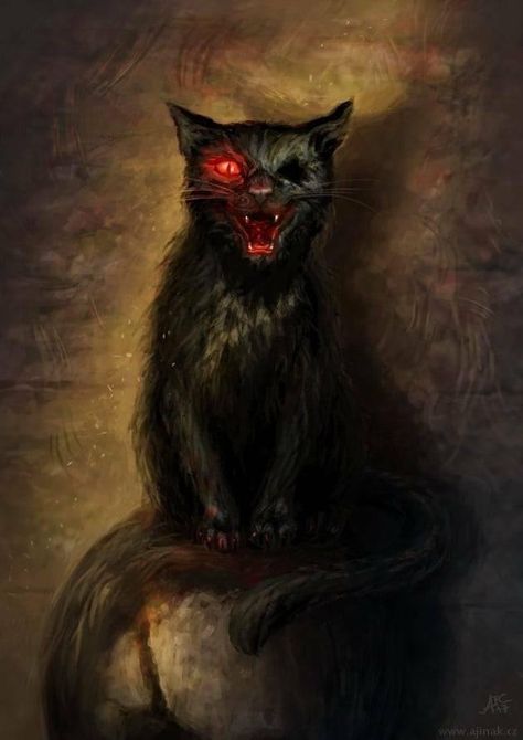 One Eyed Black Cat, Evil Cat, Creepy Cat, Horror Vintage, Scary Cat, Gothic Novel, Arte Grunge, The Black Cat, Black Cat Art