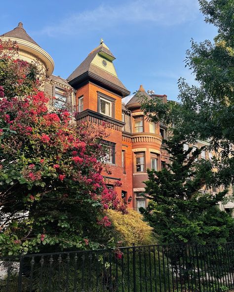 Kalorama Adams Morgan Logan Circle Washington DC Logan Circle Washington Dc, Dc Rowhouse, August 15, Washington Dc, Washington, On Instagram, Instagram