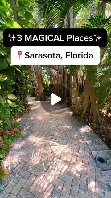 Kishia | Florida Travel ☀️🌴🥥🌺 on Instagram: "If you’ve never been to these 3 magical places in Sarasota, Florida, you need to save this so you dont forget to check them out! #florida #welivetoexplore #travel #hiddengems #floridatravel #roamflorida #visitflorida #floridalife #sarasota #museummoment #knowbeforeyougo #botanicalgarden #fairytale #magical #floridacheck #reels" Sarasota Florida Things To Do In, Florida Scenery, Florida Fall, Florida Travel Destinations, Ringling Museum, Road Trip Places, Places In Florida, Florida Trip, Traveling Tips