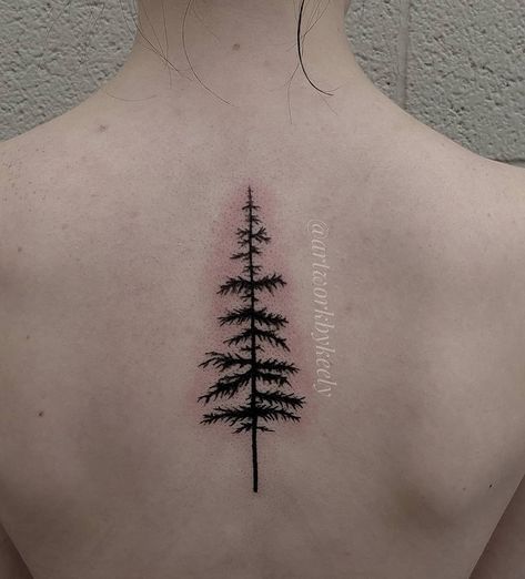 Norway Spruce Tree, T Tattoo, Pine Tattoo, Tree Tattoo Back, Roots Tattoo, Pine Tree Tattoo, Norway Spruce, Plant Tattoo, Spruce Tree