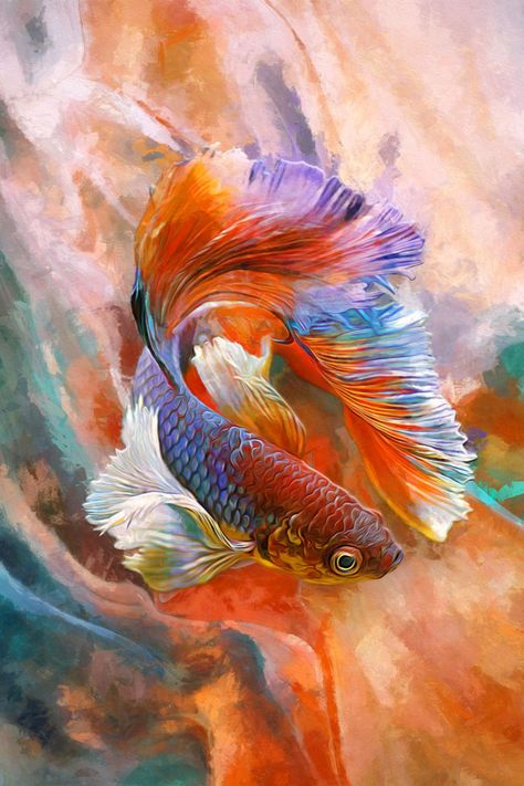 artist collection of animal painting for decoration and interior, canvas art Modern Oil Painting, Betta Fish, Image Illustration, Animal Paintings, Royalty Free Stock Photos, Stock Images, Oil Painting, Canvas Art, Stock Photos