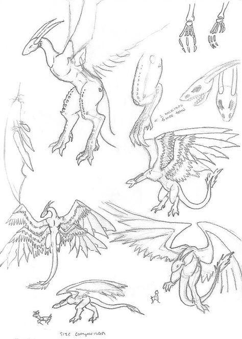 Feather dragon Dragon With Feathered Wings, Dragon With Feathers, Feathered Dragon, Secret Files, Dragon Drawings, Feathered Wings, Dragon Sketch, Clay Dragon, Dragon Wings