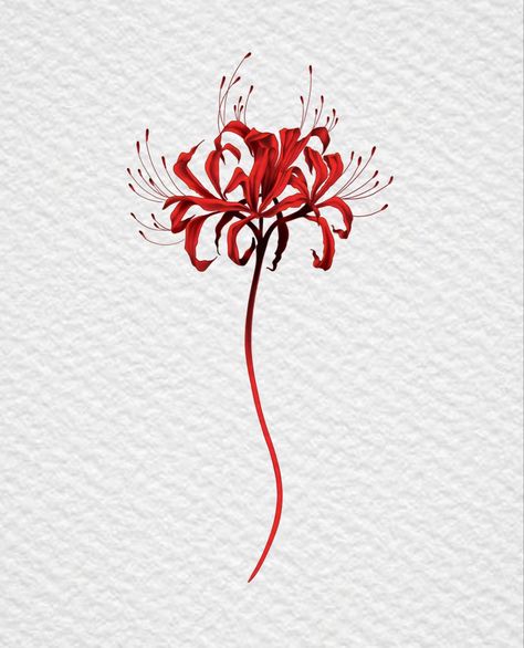 Tattoo Crane, Herren Hand Tattoos, Lillies Tattoo, Lily Tattoo Design, Red Spider Lily, Muster Tattoos, 그림 낙서, Lily Tattoo, Tattoo Style Drawings