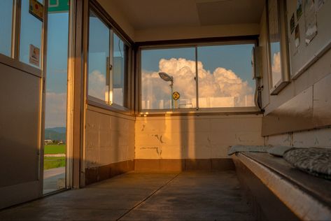 Odaiba, Aesthetic Japan, Cinematic Photography, Nature Aesthetic, Photo Reference, Pretty Places, Aesthetically Pleasing, Aesthetic Photo, Pretty Pictures