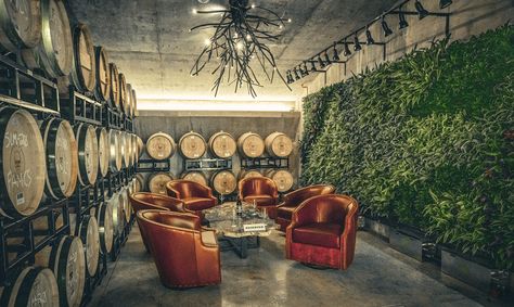 Ripe from the Vine: Slate Theory Winery Shakes Up the Texas Wine Scene - Texas Highways Austin Trip, Underground Cellar, Pecan Tree, Texas Hills, Indian Snacks, Cured Meats, Coastal Cowgirl, Texas Hill Country, Tasting Room