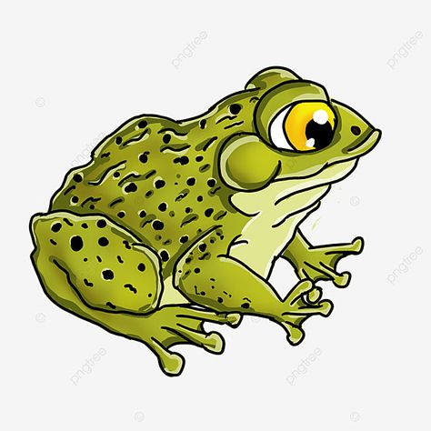 cute cartoon style yellow eyes yellow green skin toad clipart Toad Drawing, Eyes Clipart, Background Cute, Green Skin, Yellow Eyes, Cartoon Style, Toad, Clipart Images, Free Png