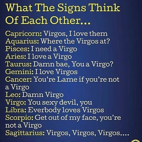 ☆What do the signs think of Virgos?! Is this true?! Sag And Virgo Relationship, Gemini And Virgo Relationship, Pisces Relationship, Virgo Relationships, Virgo And Pisces, Aju Nice, Virgo And Aries, Virgo And Sagittarius, Virgo And Taurus