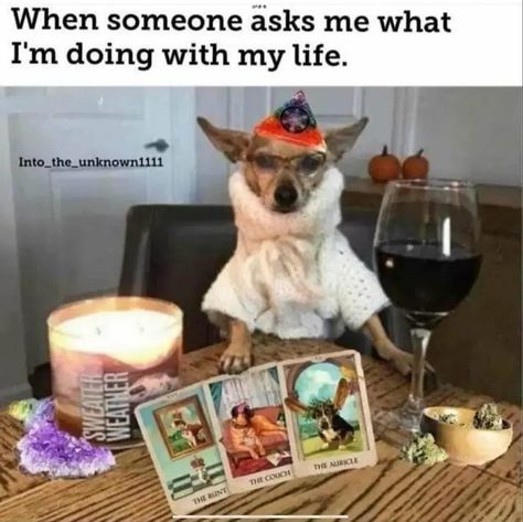 Witch Jokes, Funny Spiritual Memes, Crystal Spiritual, Tarot Magic, Meant To Be Quotes, Manifesting Abundance, Baby Witch, Training School, Akashic Records