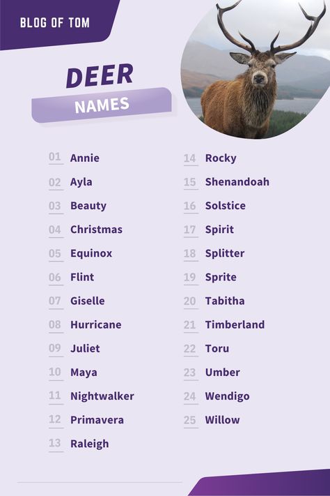 Deer names can prove tricky to choose from, but we hope to help. Whether you opt for a classic deer name like Bambi or want something a little more exotic like Olen (the Russian word for deer), you’re sure to find something you like in our ultimate deer name guide. #reindeernames #deernames Russian Names Female, Deer Names, Seeing Deer Meaning, Deer Species Chart, Alternate Animal Names, Names For Animals, Russian Names, Animals Name List, Cute Animal Names