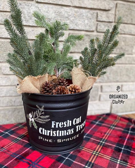 Christmas tree branch bucket by Organized Clutter, featured on New Upcycled Projects to Make 600 Christmas Buckets, Christmas Tree Bucket, Bucket Decor, Organized Clutter, Metal Buckets, Burlap Pumpkins, Decor Transfers, Pumpkin Pictures, Stencil Decor